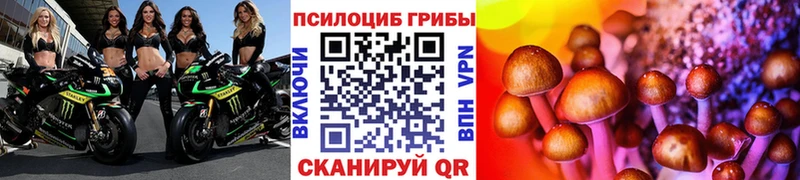 блэк спрут ссылки  Нюрба  Псилоцибиновые грибы Cubensis 